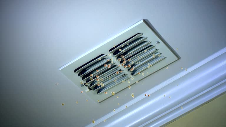 Best Local Air Duct Cleaning Services  in Elsa, TX