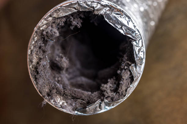 Best Air Duct Cleaning Company Near Me  in Elsa, TX